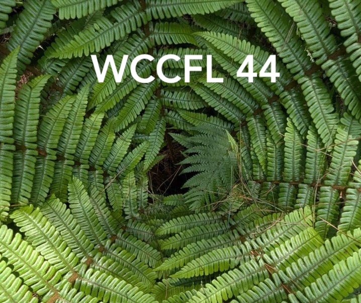 wccfl44 logo
